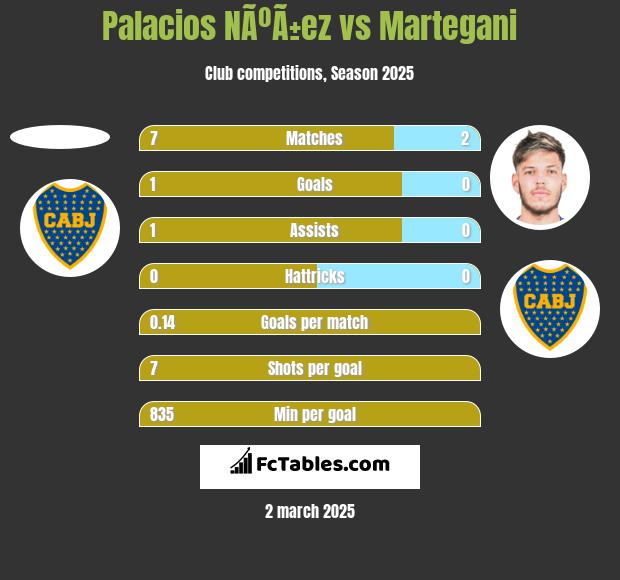 Palacios NÃºÃ±ez vs Martegani h2h player stats