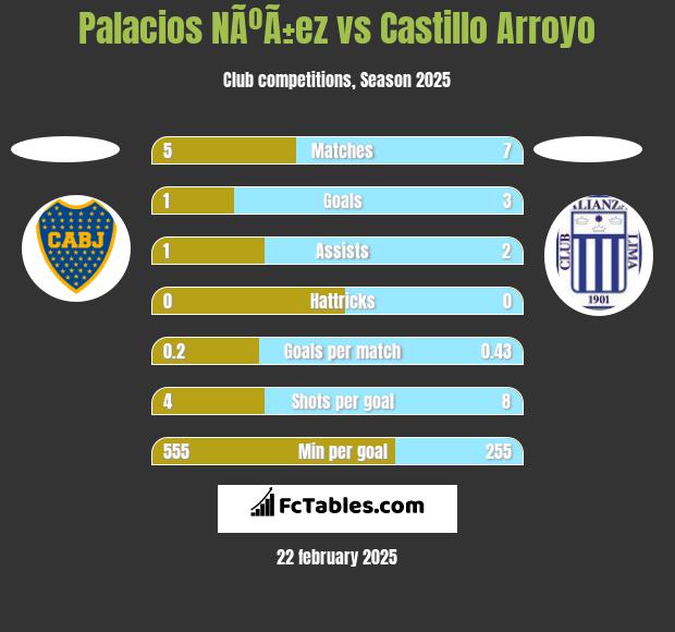 Palacios NÃºÃ±ez vs Castillo Arroyo h2h player stats