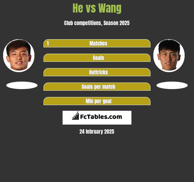 He vs Wang h2h player stats