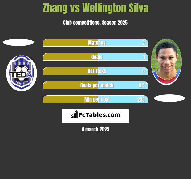 Zhang vs Wellington Silva h2h player stats