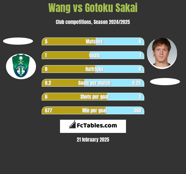 Wang vs Gotoku Sakai h2h player stats