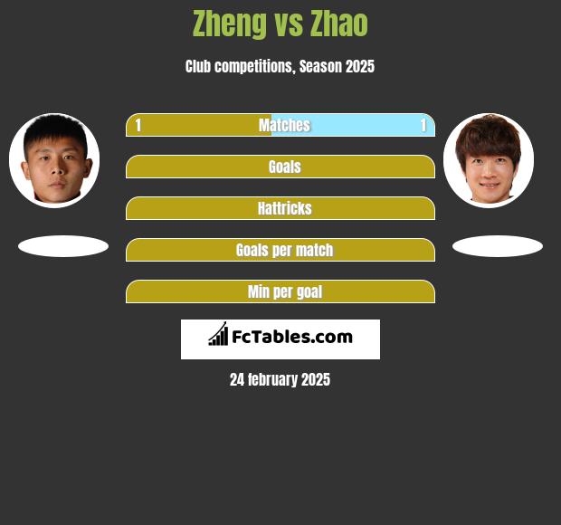 Zheng vs Zhao h2h player stats