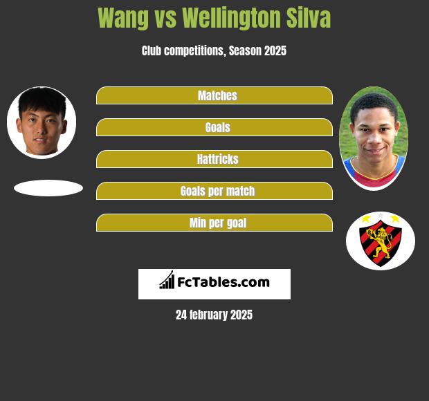 Wang vs Wellington Silva h2h player stats