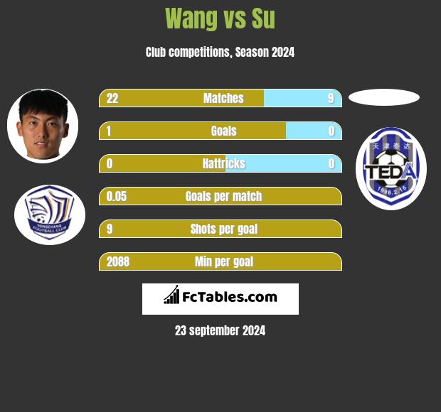 Wang vs Su h2h player stats