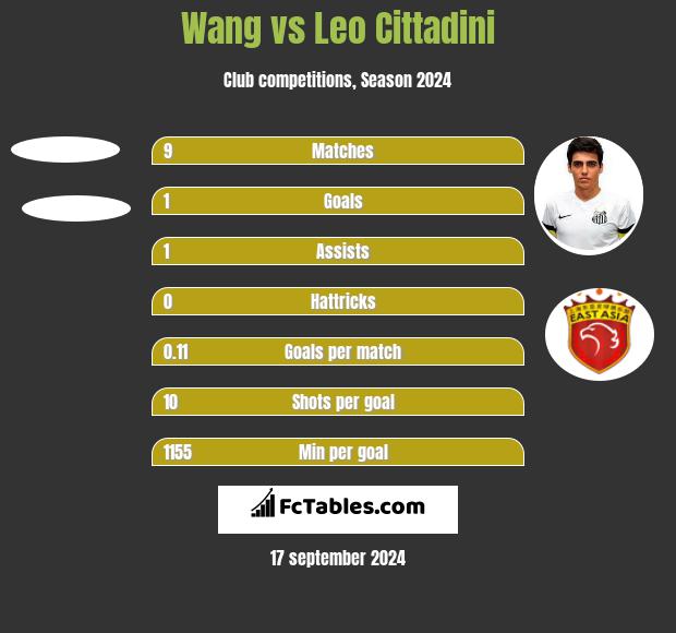 Wang vs Leo Cittadini h2h player stats