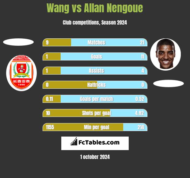 Wang vs Allan Nengoue h2h player stats