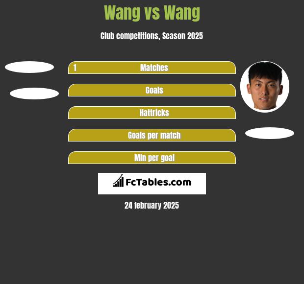 Wang vs Wang h2h player stats