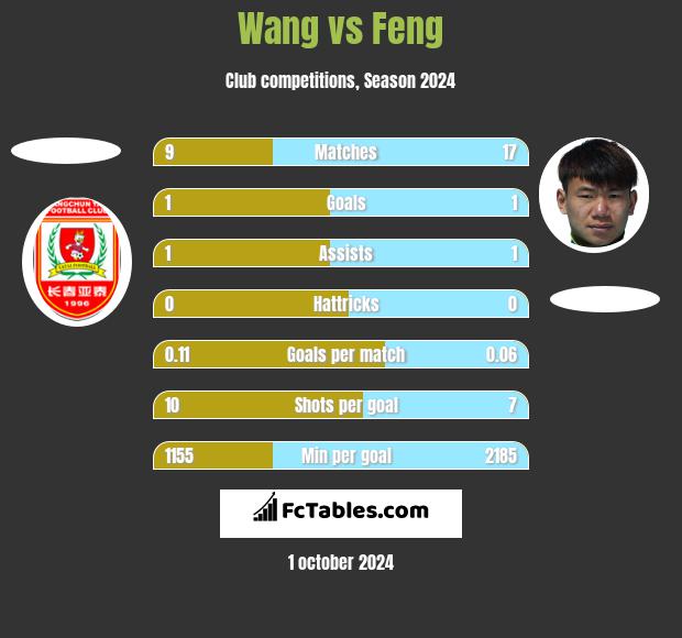 Wang vs Feng h2h player stats