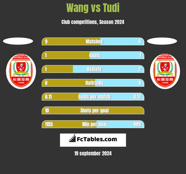 Wang vs Tudi h2h player stats