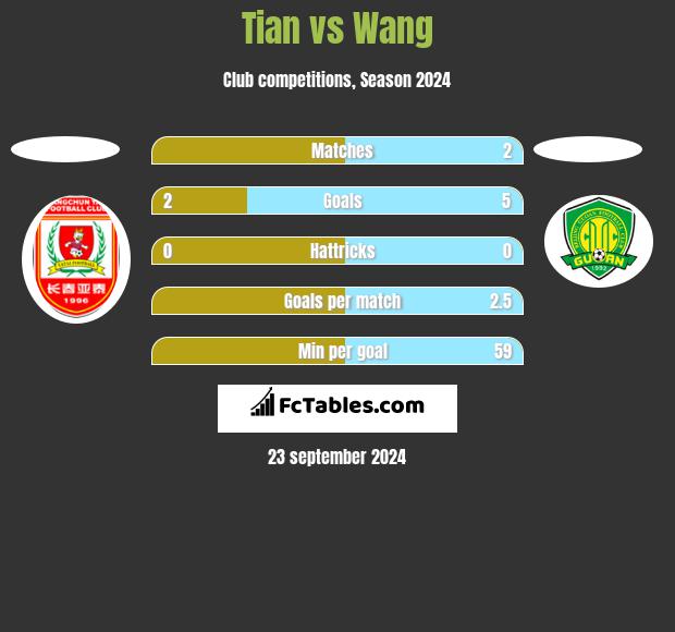 Tian vs Wang h2h player stats