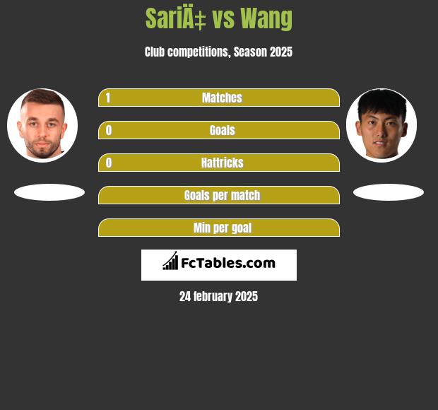 SariÄ‡ vs Wang h2h player stats