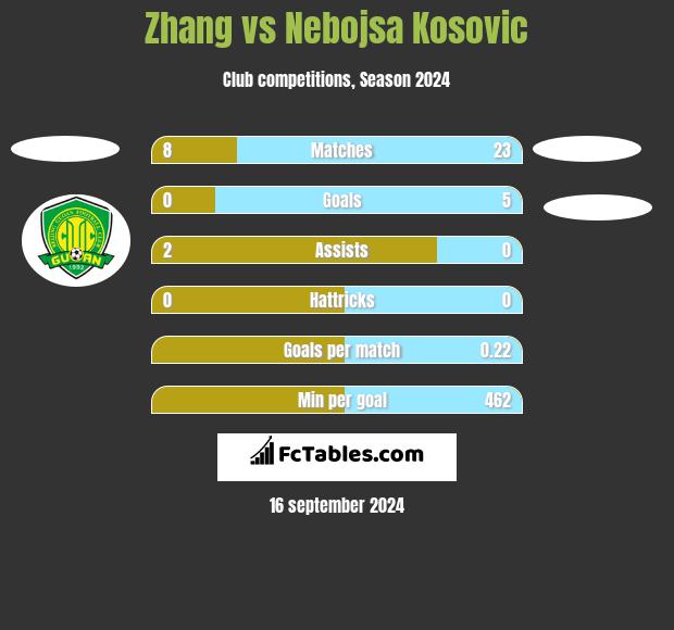 Zhang vs Nebojsa Kosovic h2h player stats