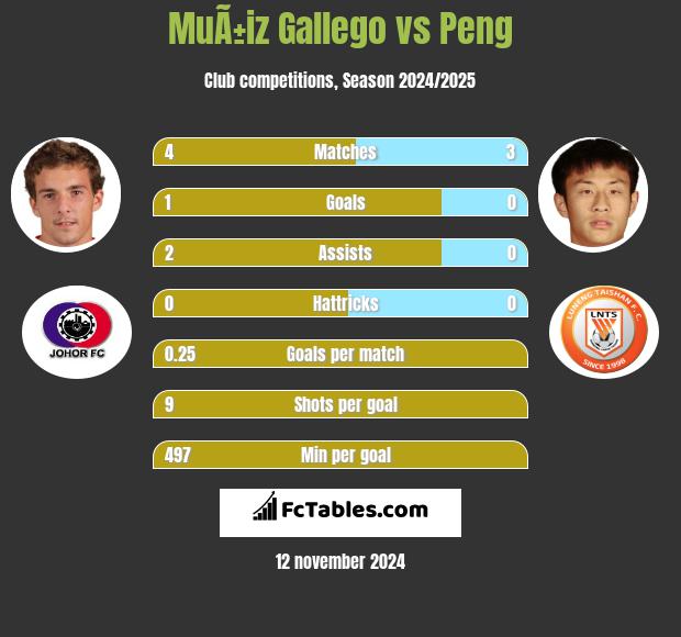 MuÃ±iz Gallego vs Peng h2h player stats