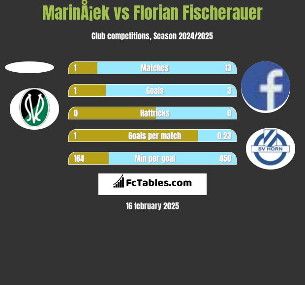 MarinÅ¡ek vs Florian Fischerauer h2h player stats