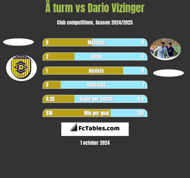 Å turm vs Dario Vizinger h2h player stats