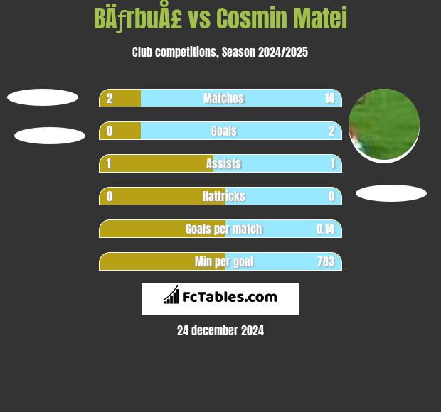 BÄƒrbuÅ£ vs Cosmin Matei h2h player stats