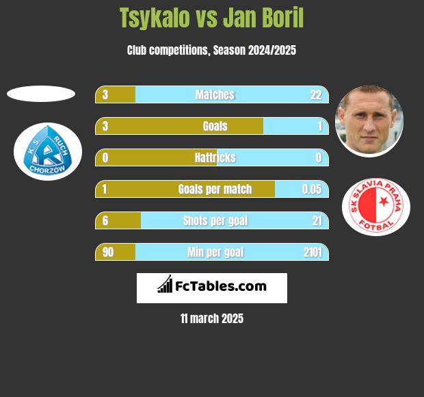 Tsykalo vs Jan Boril h2h player stats