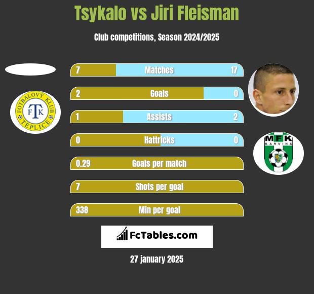 Tsykalo vs Jiri Fleisman h2h player stats