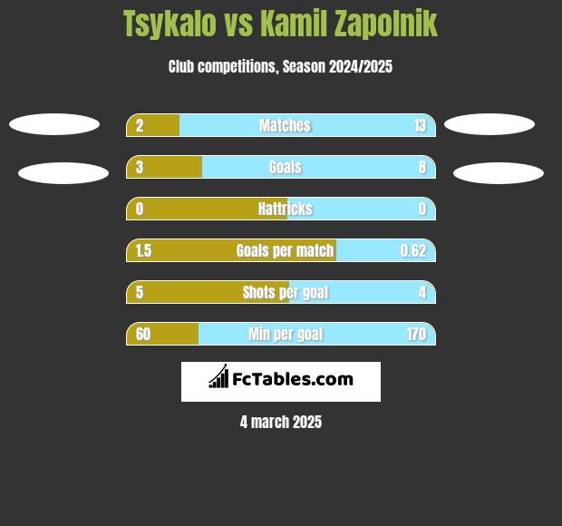 Tsykalo vs Kamil Zapolnik h2h player stats