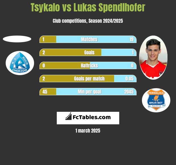 Tsykalo vs Lukas Spendlhofer h2h player stats