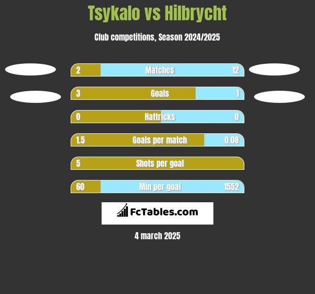 Tsykalo vs Hilbrycht h2h player stats