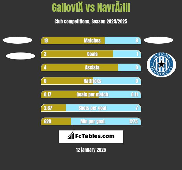 GalloviÄ vs NavrÃ¡til h2h player stats