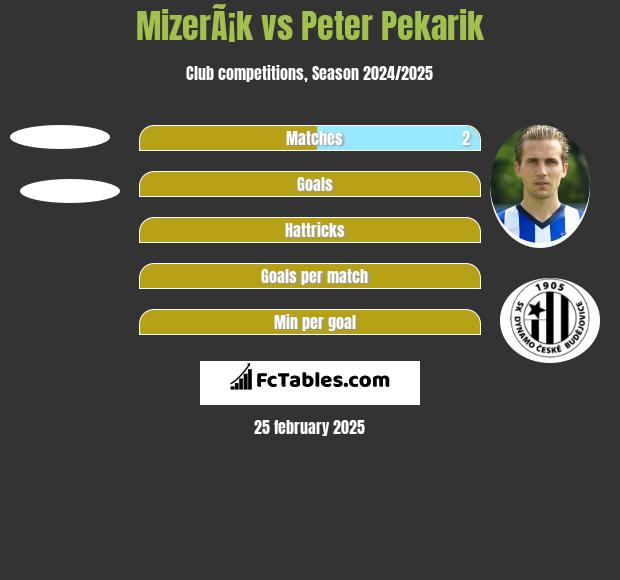 MizerÃ¡k vs Peter Pekarik h2h player stats