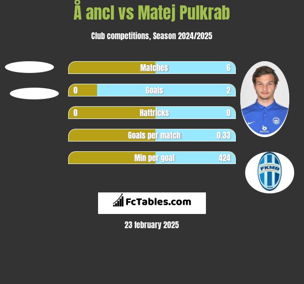 Å ancl vs Matej Pulkrab h2h player stats