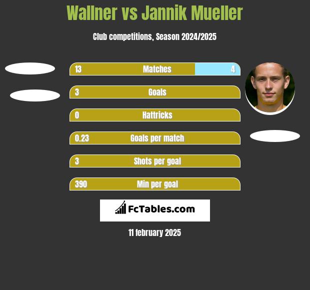 Wallner vs Jannik Mueller h2h player stats