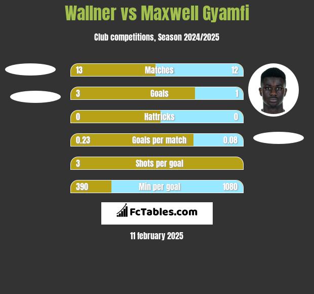 Wallner vs Maxwell Gyamfi h2h player stats