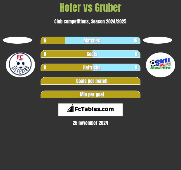 Hofer vs Gruber h2h player stats