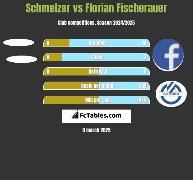 Schmelzer vs Florian Fischerauer h2h player stats