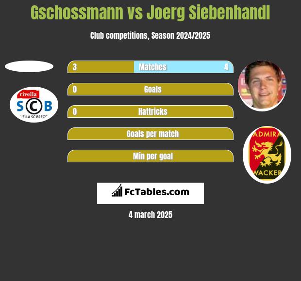 Gschossmann vs Joerg Siebenhandl h2h player stats