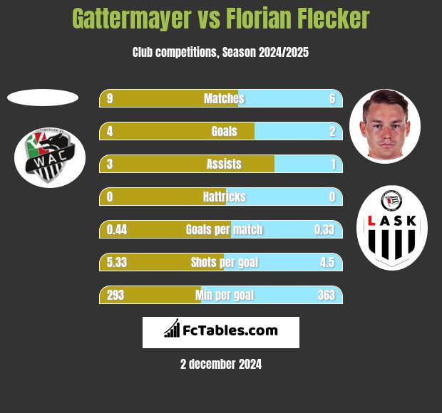 Gattermayer vs Florian Flecker h2h player stats