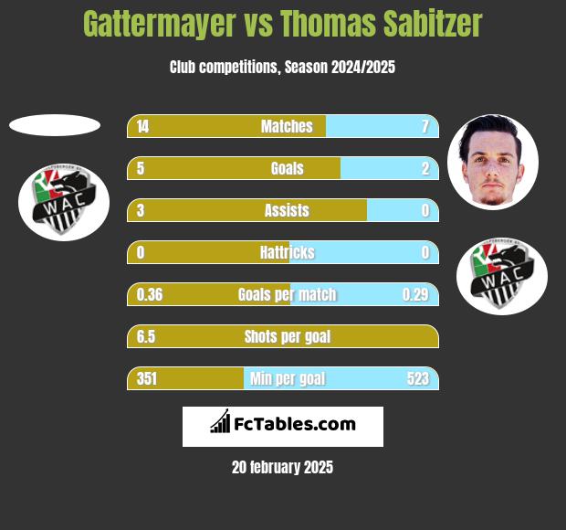 Gattermayer vs Thomas Sabitzer h2h player stats