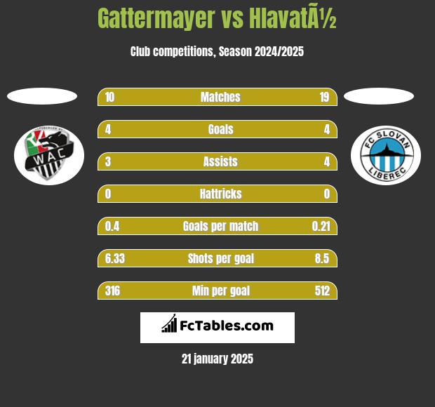 Gattermayer vs HlavatÃ½ h2h player stats