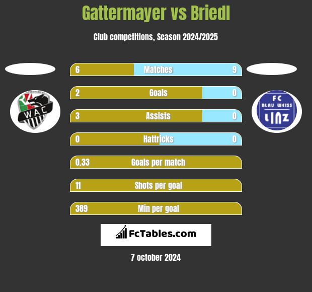 Gattermayer vs Briedl h2h player stats