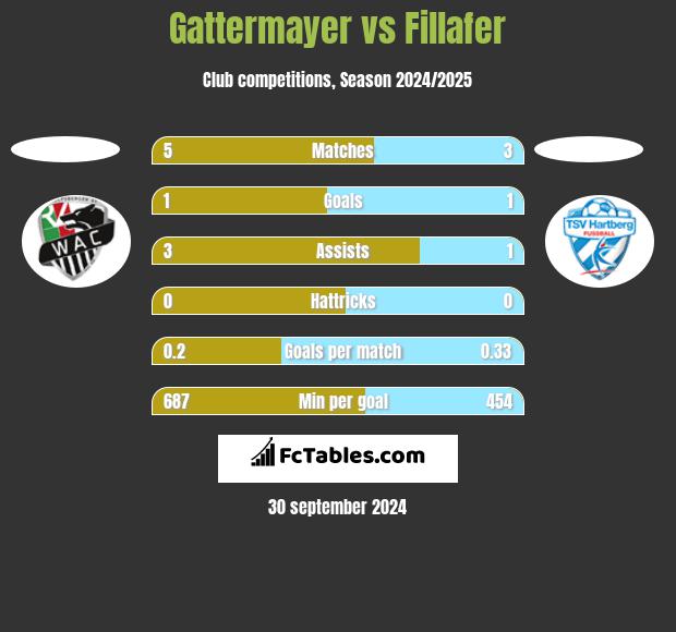 Gattermayer vs Fillafer h2h player stats