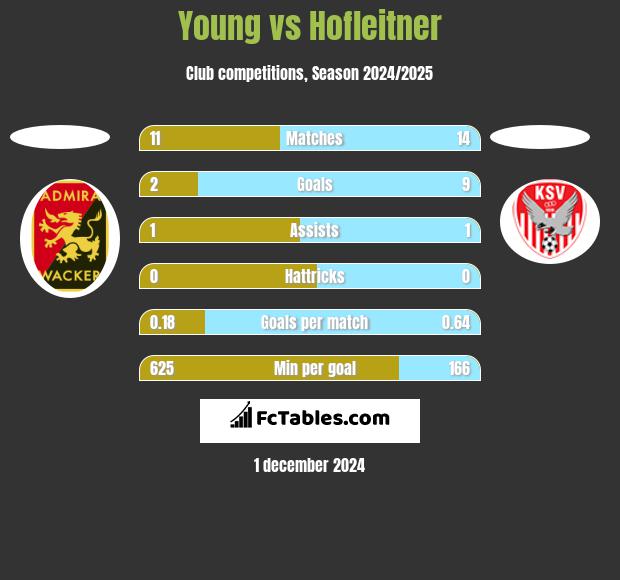 Young vs Hofleitner h2h player stats