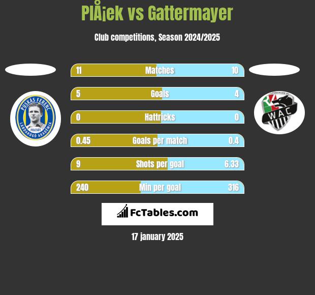 PlÅ¡ek vs Gattermayer h2h player stats