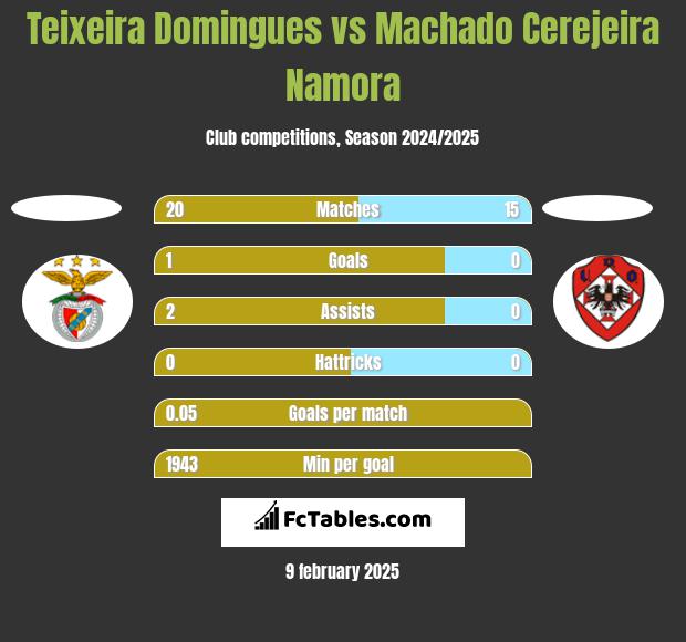 Teixeira Domingues vs Machado Cerejeira Namora h2h player stats