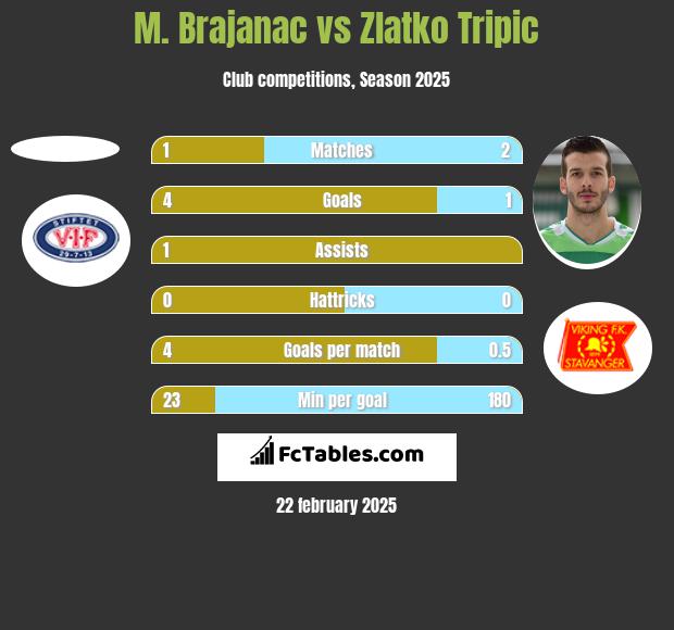 M. Brajanac vs Zlatko Tripic h2h player stats