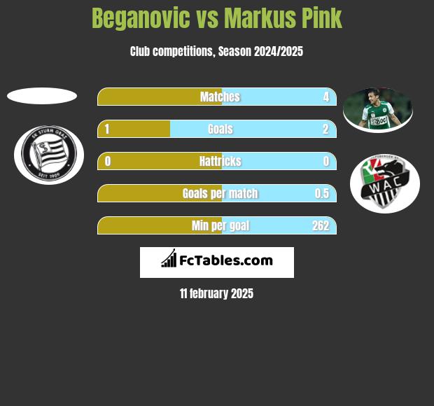 Beganovic vs Markus Pink h2h player stats