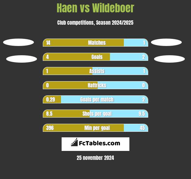 Haen vs Wildeboer h2h player stats