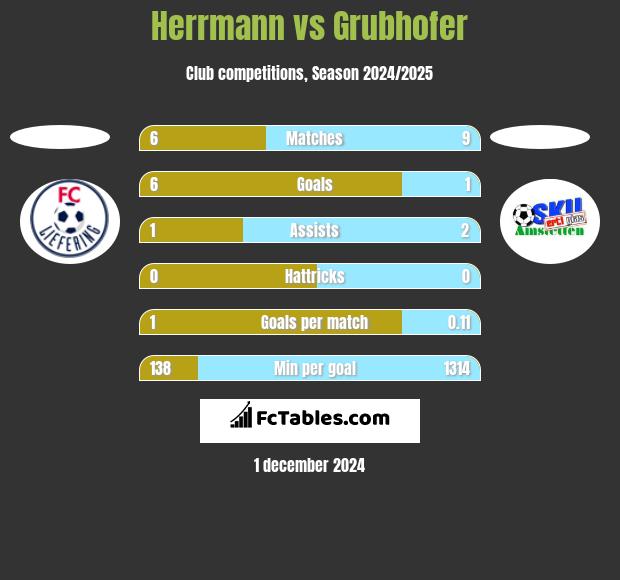 Herrmann vs Grubhofer h2h player stats