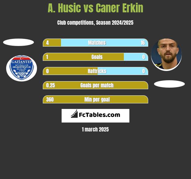 A. Husic vs Caner Erkin h2h player stats