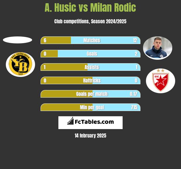 A. Husic vs Milan Rodić h2h player stats