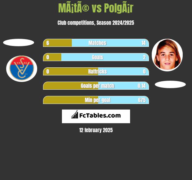 MÃ¡tÃ© vs PolgÃ¡r h2h player stats