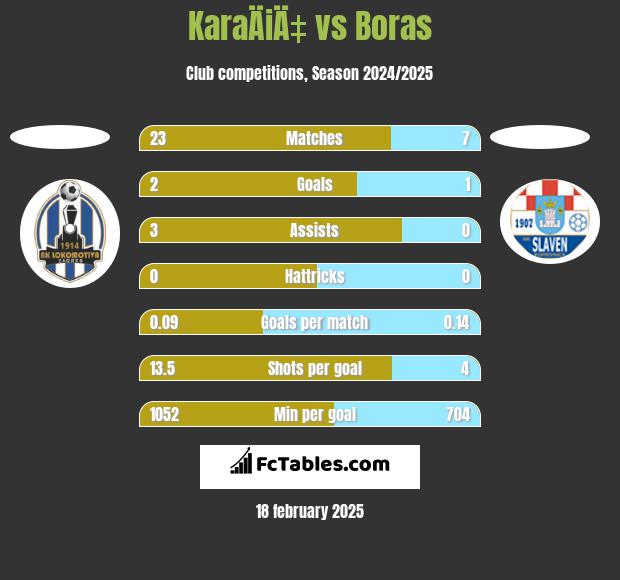 KaraÄiÄ‡ vs Boras h2h player stats