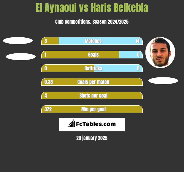 El Aynaoui vs Haris Belkebla h2h player stats